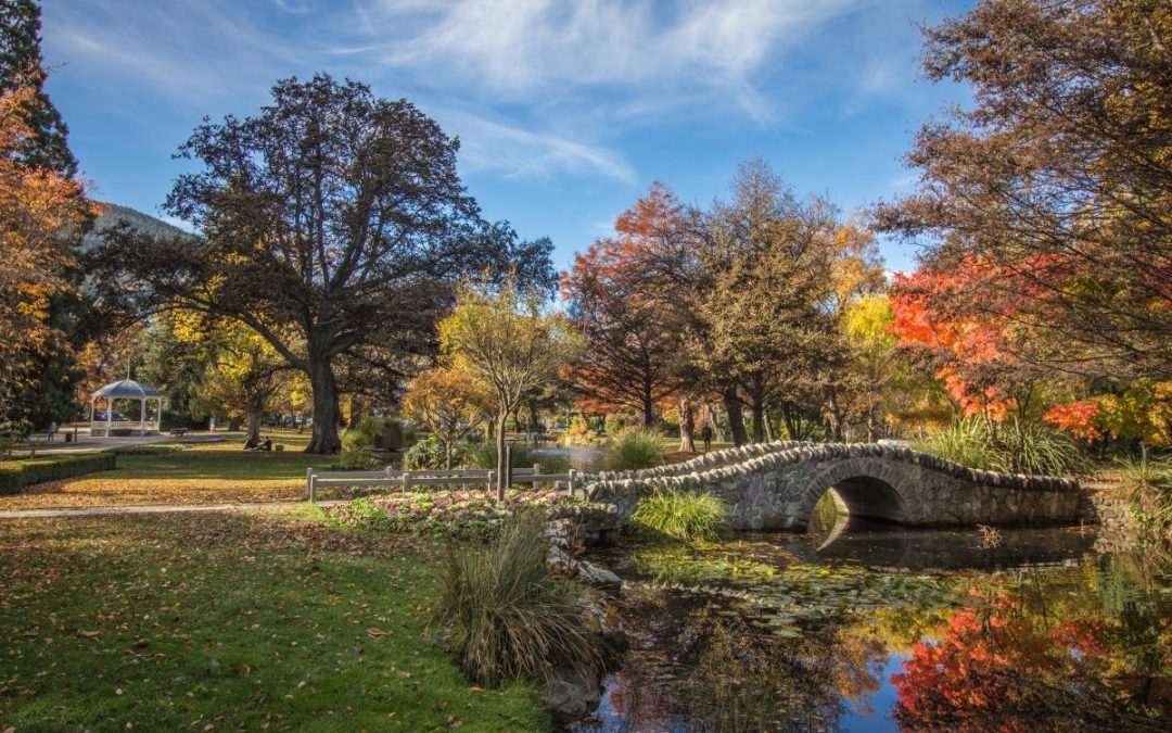 Family Day Out: Best Picnic Spots Near Hanley’s Farm